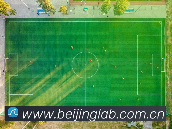 开云线上登录平台入口APP 封面图